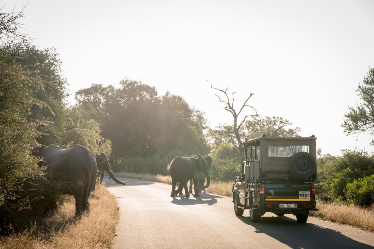 Nkuhlu Tented Camp Скукуза Екстер'єр фото