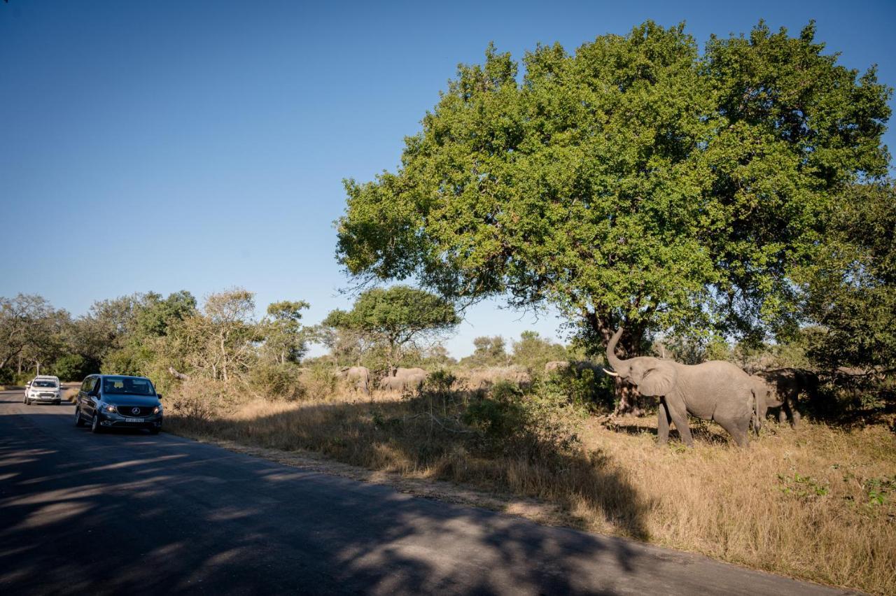 Nkuhlu Tented Camp Скукуза Екстер'єр фото