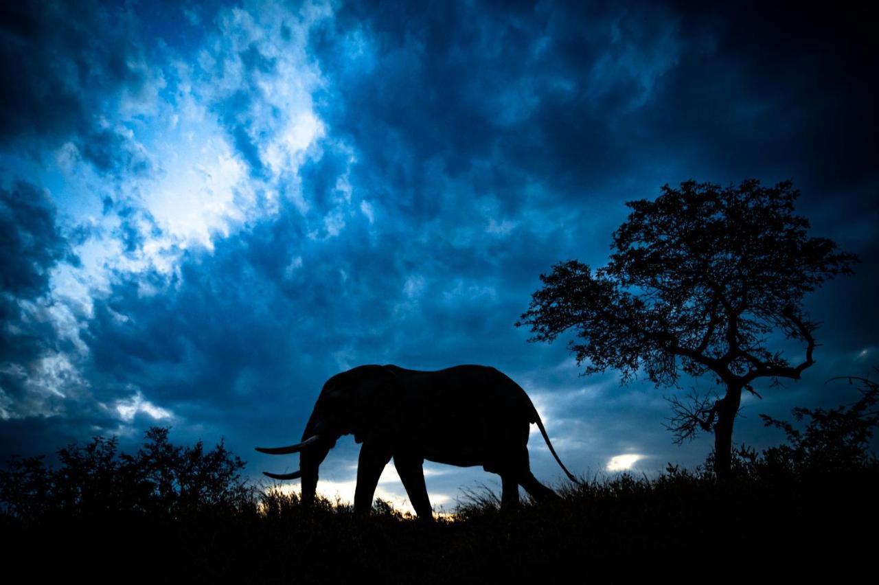 Nkuhlu Tented Camp Скукуза Екстер'єр фото