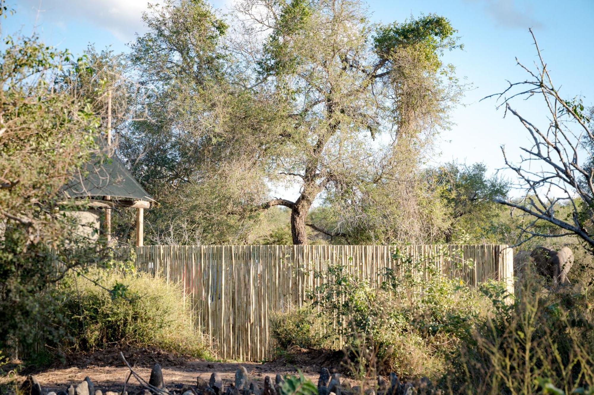Nkuhlu Tented Camp Скукуза Екстер'єр фото
